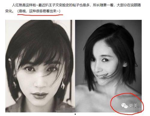 明星黑料最新,明星黑料曝光，真相背后引人深思-第1张图片-草莓福利影院