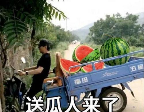 最近大瓜事件,揭秘明星隐私风波背后的真相-第1张图片-草莓福利影院