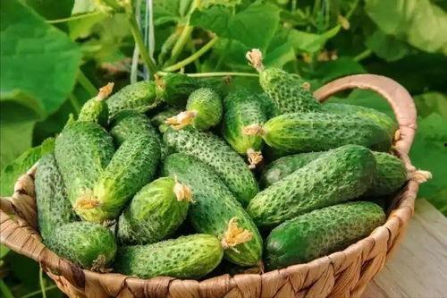 最近大瓜事件,揭秘明星隐私风波背后的真相-第2张图片-草莓福利影院