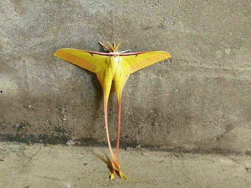 动物死后变成人吗视频,揭秘死后变人的神秘传说-第1张图片-草莓福利影院