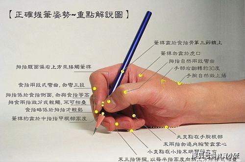 成人练字拿笔视频,从拿笔姿势看成人练字之道-第1张图片-草莓福利影院