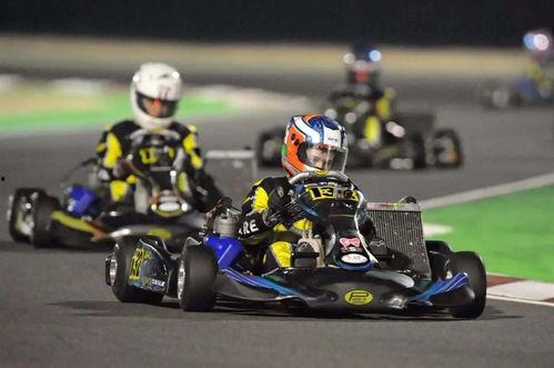 成人摇摆滑轮车视频,揭秘成人摇摆滑轮车运动魅力-第1张图片-草莓福利影院