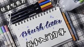 成人控笔专项练习视频,成人专项练习视频解析-第1张图片-草莓福利影院