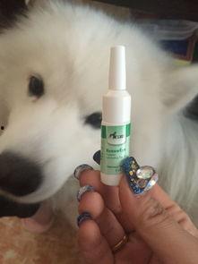 成人如何去眼屎视频,成人眼部清洁教程-第2张图片-草莓福利影院