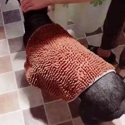 成人漏尿巾自制视频,居家护理必备技能-第1张图片-草莓视频分享平台