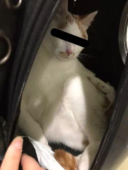 成人漏尿巾自制视频,居家护理必备技能-第3张图片-草莓视频分享平台