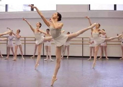 冬至成人舞蹈视频教学,跟随成人舞蹈视频，感受传统与现代的交融之美-第2张图片-草莓视频分享平台