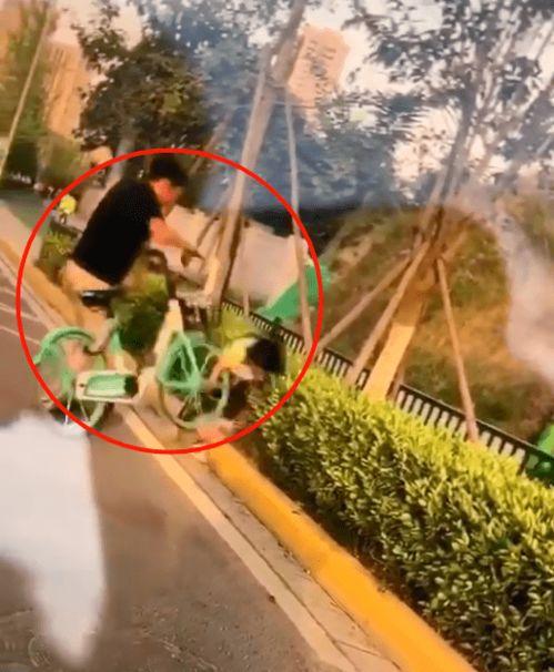 绿道成人撞小孩视频真实,成人撞伤小孩，引发社会关注与反思-第2张图片-草莓视频分享平台