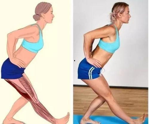 成人拉腿筋教程图解视频,图解视频精华概述-第1张图片-草莓视频分享平台