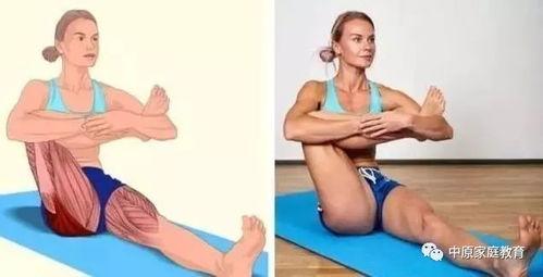 成人拉腿筋教程图解视频,图解视频精华概述-第2张图片-草莓视频分享平台