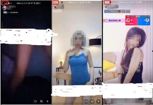 成人版花椒视频下载,成人版热门平台操作指南-第1张图片-草莓视频分享平台