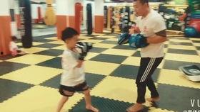 成人搏击协调训练视频,高效提升实战技巧与身体协调性-第1张图片-草莓视频分享平台