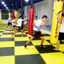 成人搏击协调训练视频,高效提升实战技巧与身体协调性-第2张图片-草莓视频分享平台