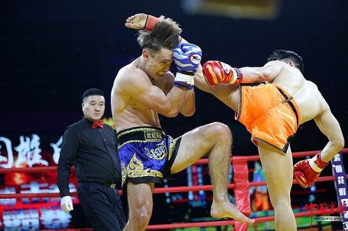 成人搏击协调训练视频,高效提升实战技巧与身体协调性-第3张图片-草莓视频分享平台