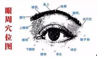 成人降眼压方法图解视频,轻松掌握眼压控制技巧-第2张图片-草莓视频分享平台