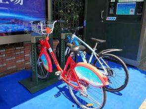 骑行车视频成人网站,揭秘骑行车视频网站的魅力-第2张图片-草莓视频分享平台