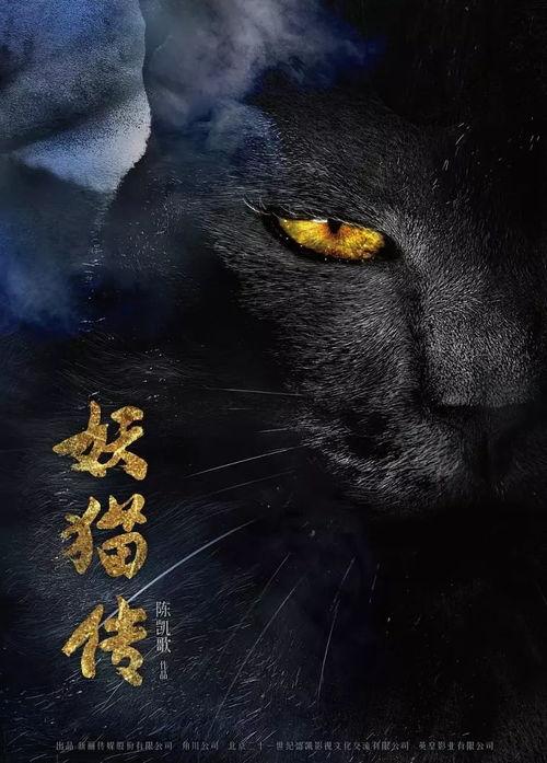 猫变成人形的视频-第1张图片-草莓视频分享平台