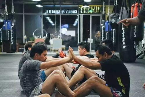 成人泰拳趣味教学视频,趣味教学视频带你轻松上手-第1张图片-草莓视频分享平台