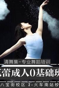 成人初级芭蕾舞蹈视频,轻松入门优雅舞步-第1张图片-草莓视频分享平台