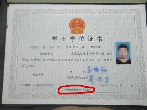 新密专升本成人班视频,助你轻松实现学历提升-第3张图片-草莓视频分享平台
